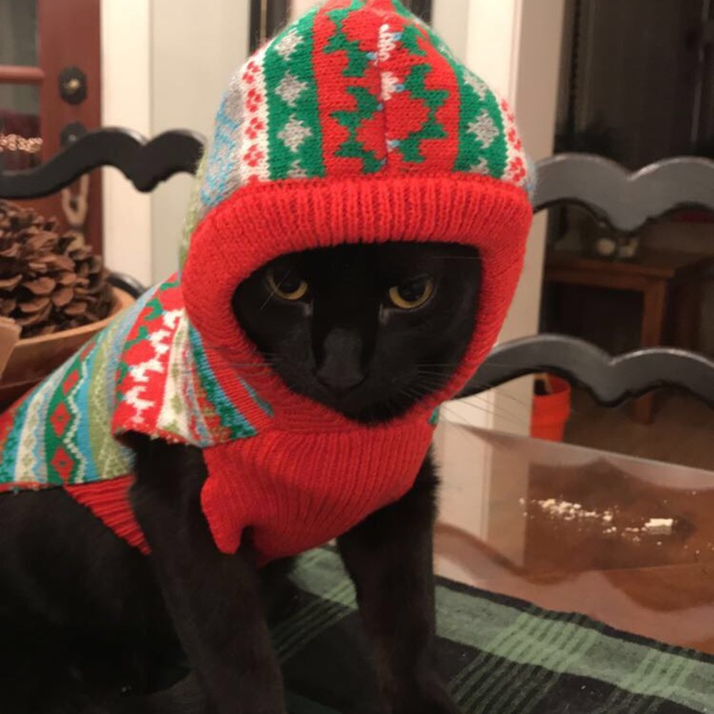 Meet your Posher, Steph